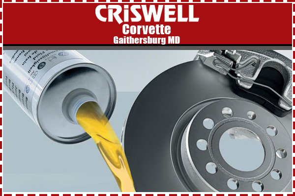 Brake Fluid Exchange