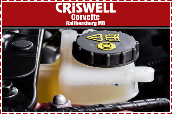 Clutch Fluid Exchange